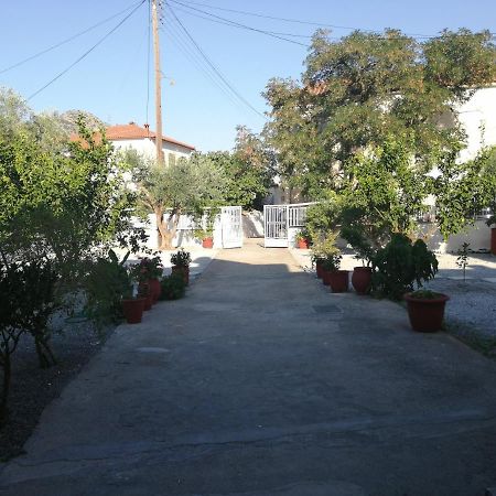 Sunny Cozy House With Grand Courtyard Apartment Leonídion Exterior foto